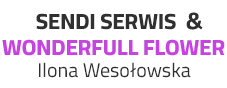 logo Sendi Serwis & Wonderfull Flower Ilona Wesołowska